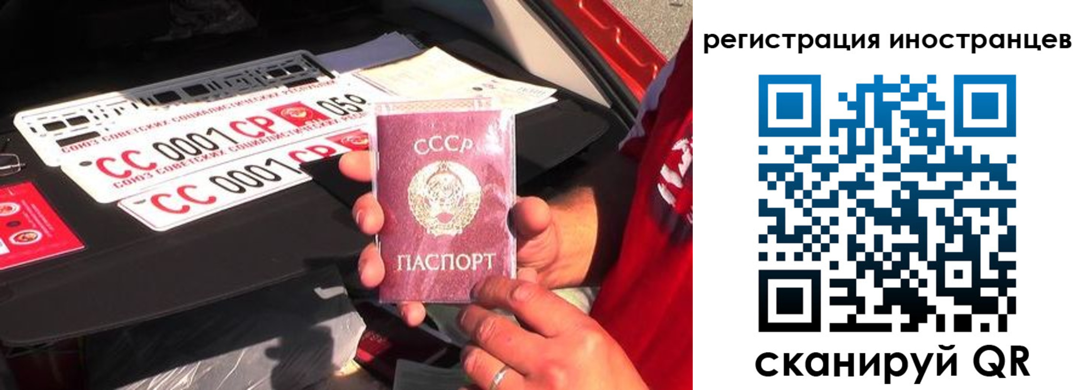 прописка гарантия в Лузе