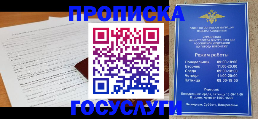 прописка штамп в Лузе